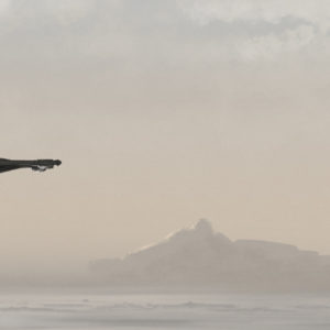 First Light - Limited Edition Print